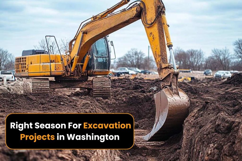 Excavation services in Washington